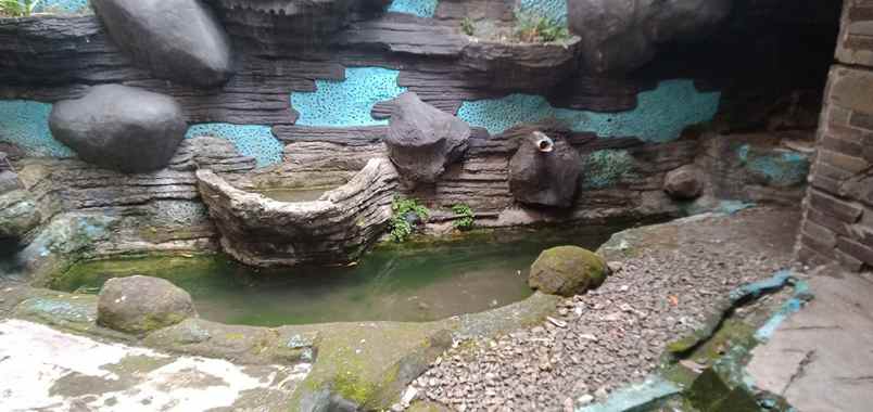 disewakan rumah kuningan