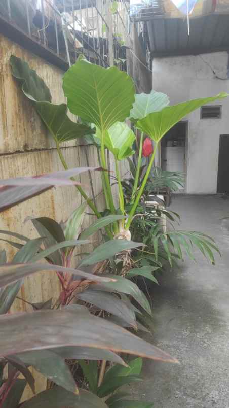 jual gudang komplek pergudangan daan mogot