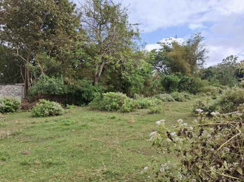 jual tanah 5 unit shm di jalan asih devi kuta bali