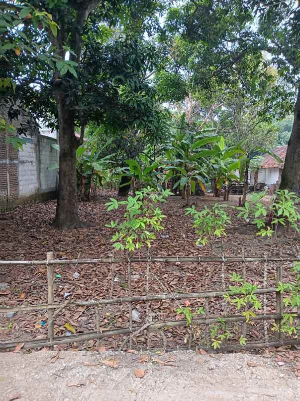 jual tanah di karawang shm