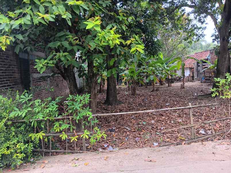 jual tanah di karawang shm