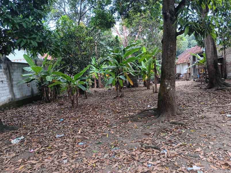 jual tanah di karawang shm