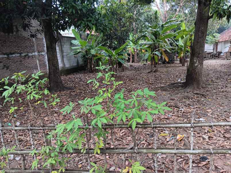 jual tanah di karawang shm