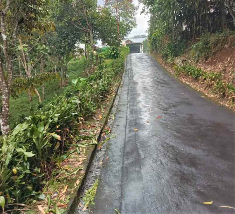 jual tanah kebun durian 1200m karangpandan karanganyar
