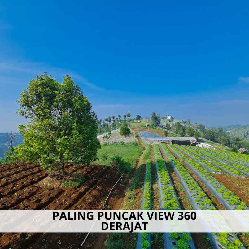 jual tanah murah di bandung