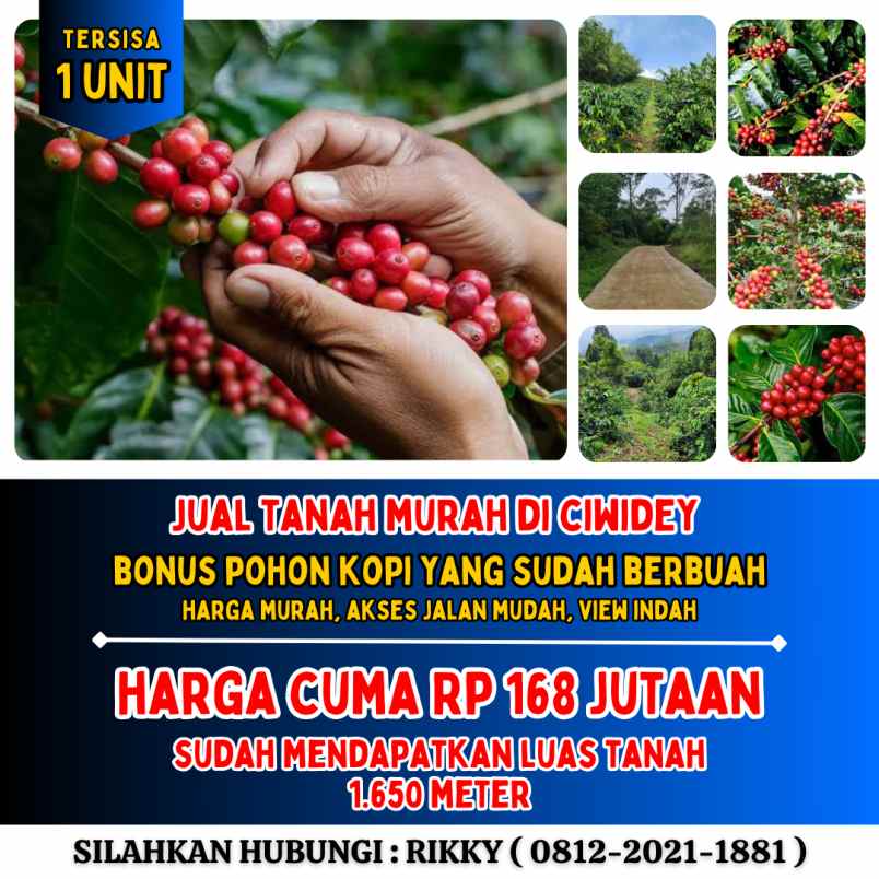 jual tanah murah di ciwidey