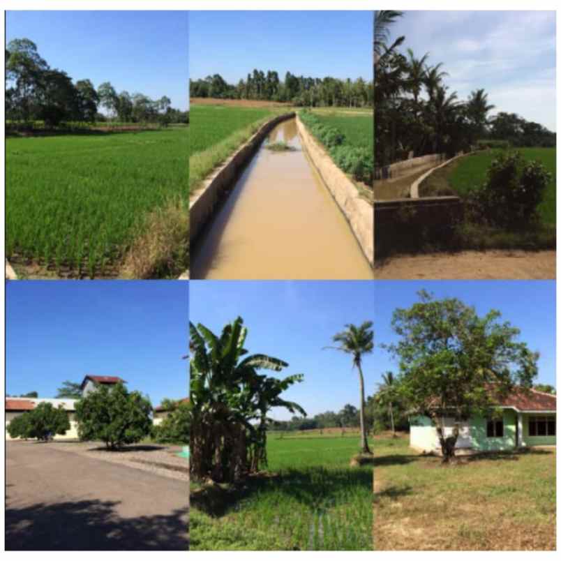 komersial pesawaran lintas barat lampung