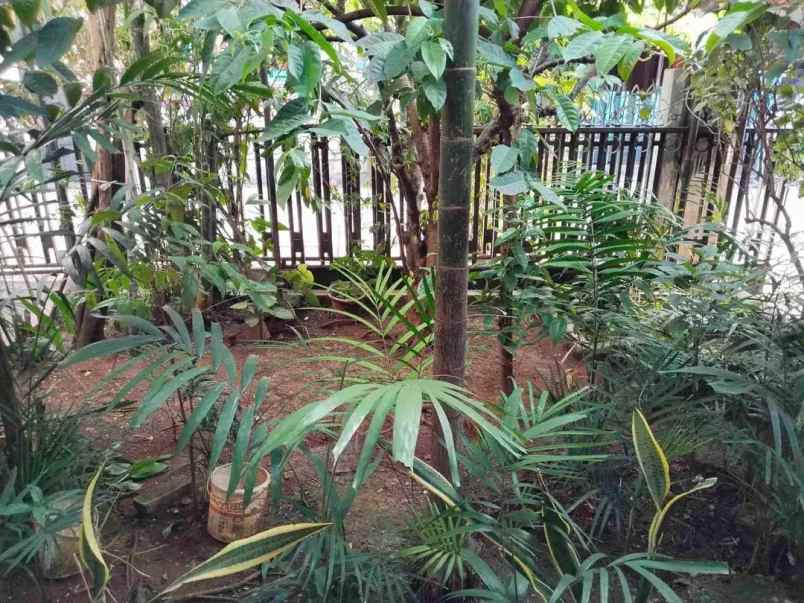 rumah 2 lantai dengan luas 150m2 di perumnas 1 bekasi