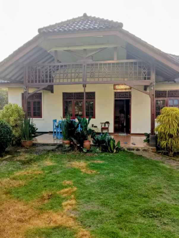 rumah asri dan luas lokasi strategis