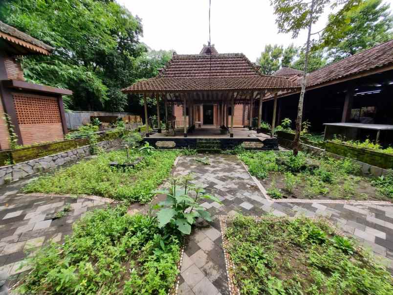 rumah besar tanah luas setengah harga di minggir