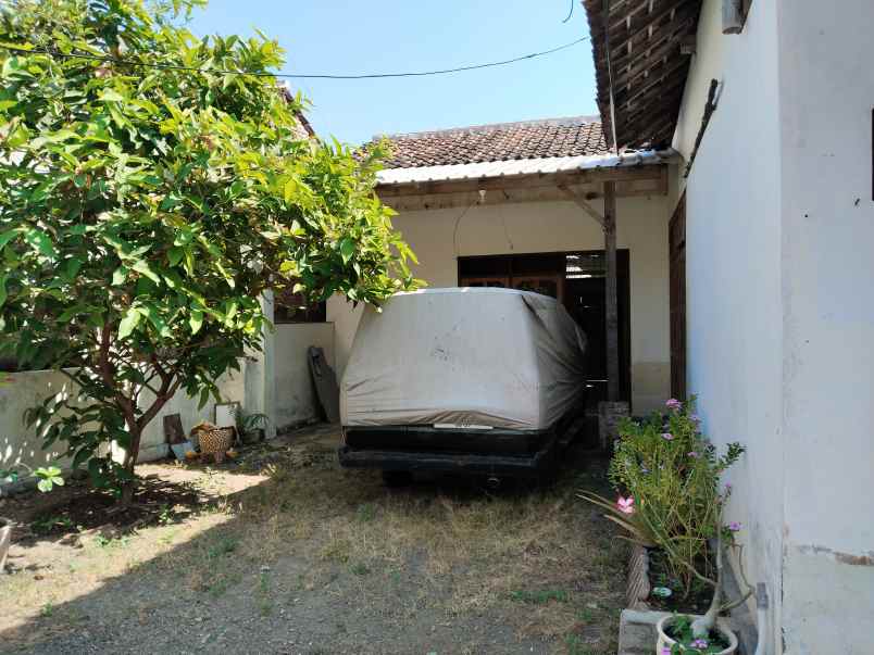 rumah dijual area situbondo