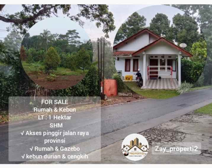 rumah kebun produktif ada durian subang jawa barat