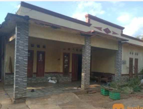 rumah pedesaan minimalis elegan