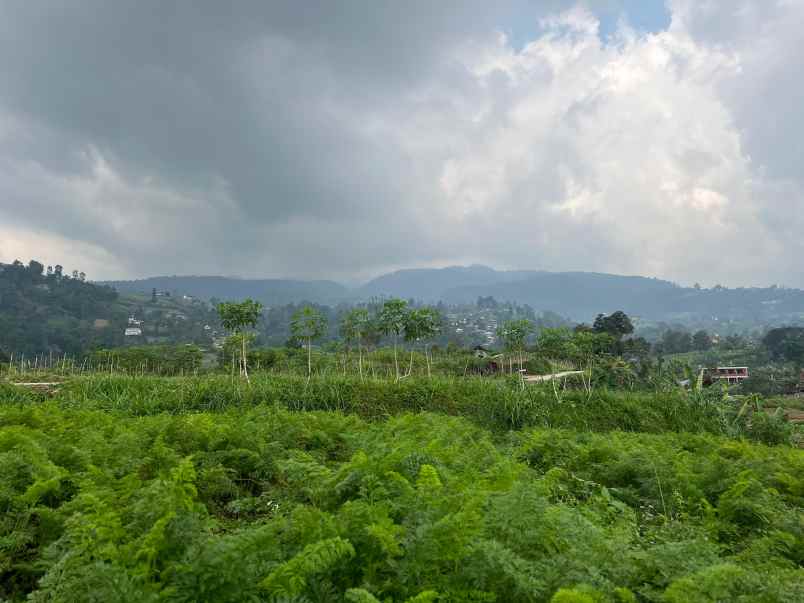 tanah 1500m kawasan pegunungan karanganyar