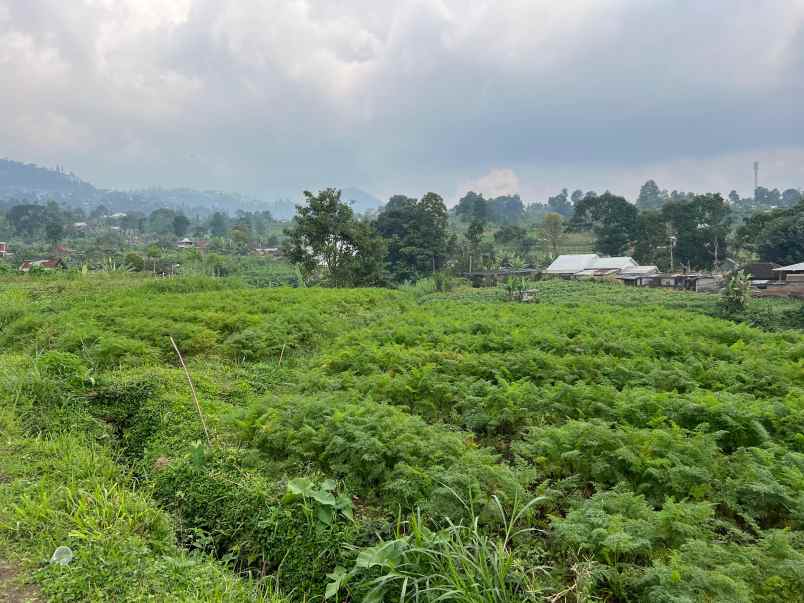 tanah 1500m kawasan pegunungan karanganyar