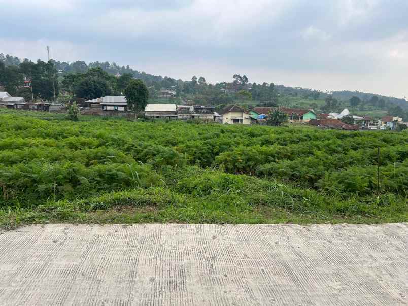 tanah 1500m kawasan pegunungan karanganyar