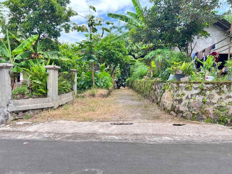 tanah 2500m hanya 300 juta karangpandan