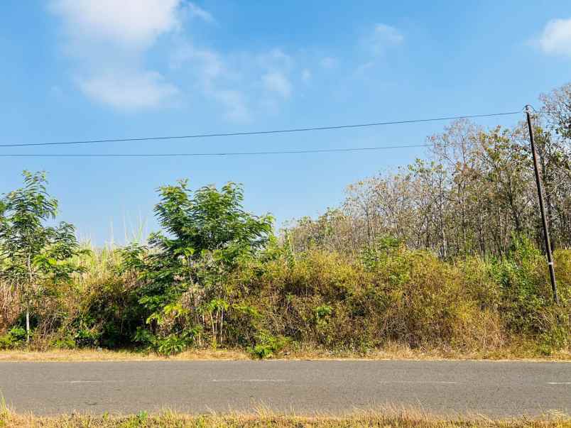 tanah datar 7523m strategis karanganyar