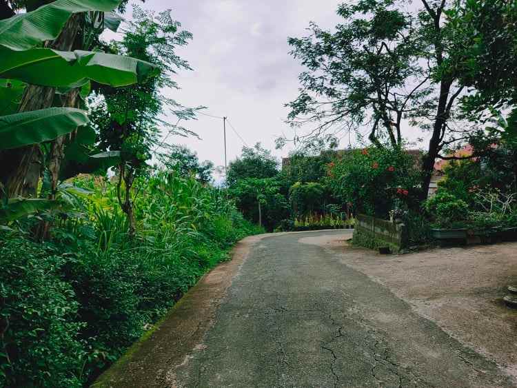tanah dekat pasar plangsalam
