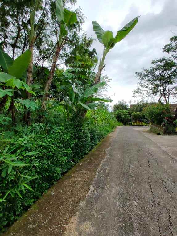 tanah dekat pasar plangsalam