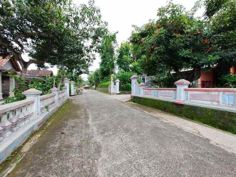 tanah dekat pasar plangsalam