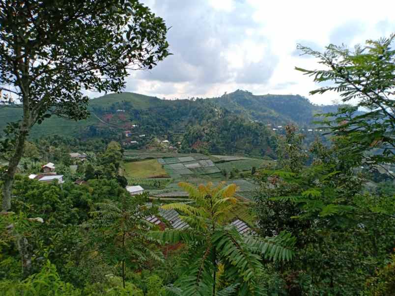 tanah desa wisata kemuning