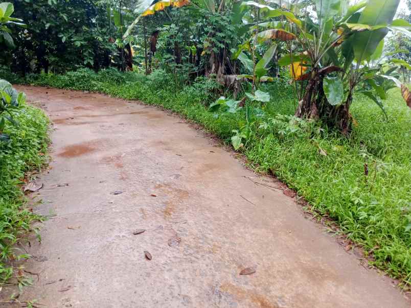 tanah dijual murah di jonggol