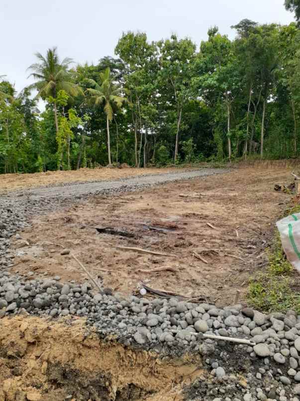 tanah gunung gempal giripeni