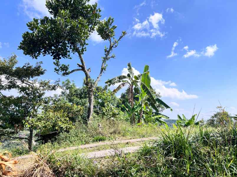 tanah idaman 5933m view langsung gunung lawu