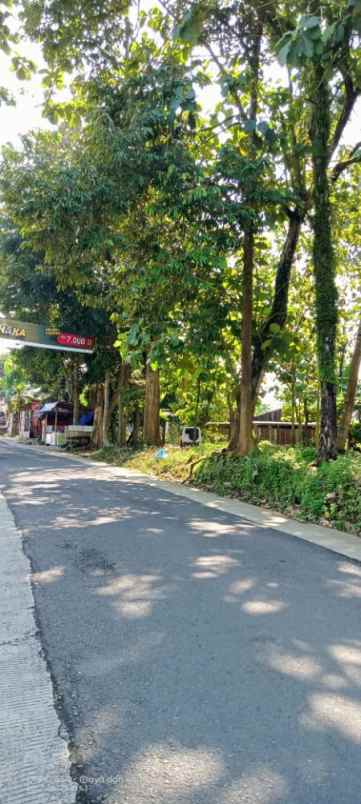 tanah jl raya karanggintung