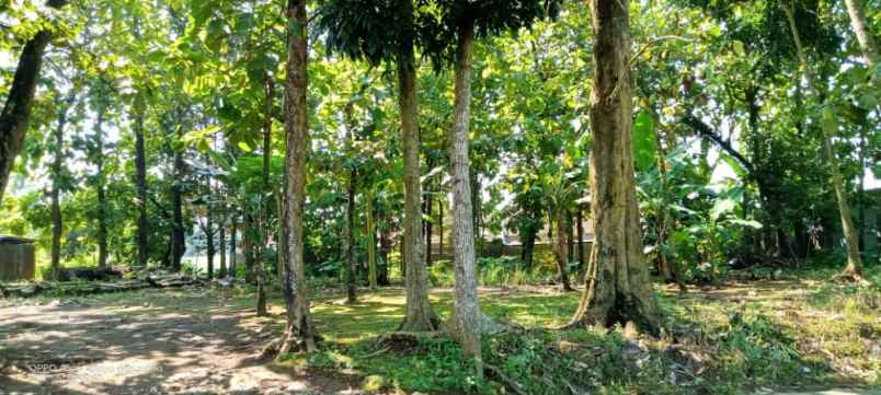 tanah jl raya karanggintung