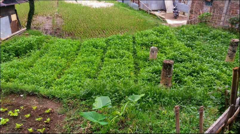 tanah kampung cibaligo rt 002