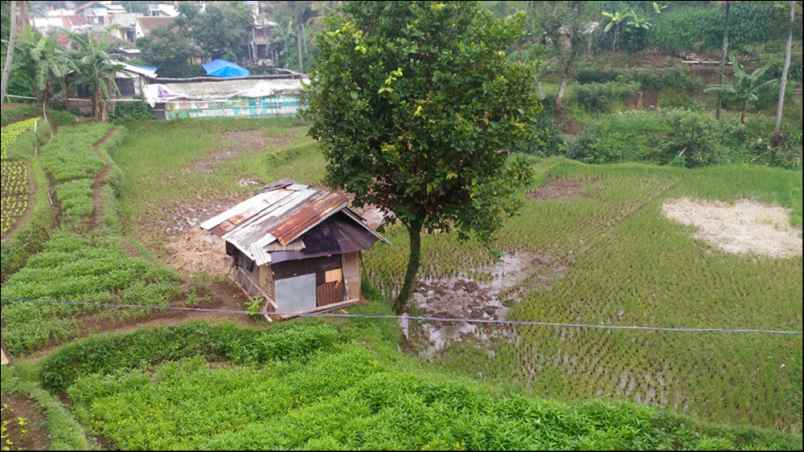 tanah kampung cibaligo rt 002