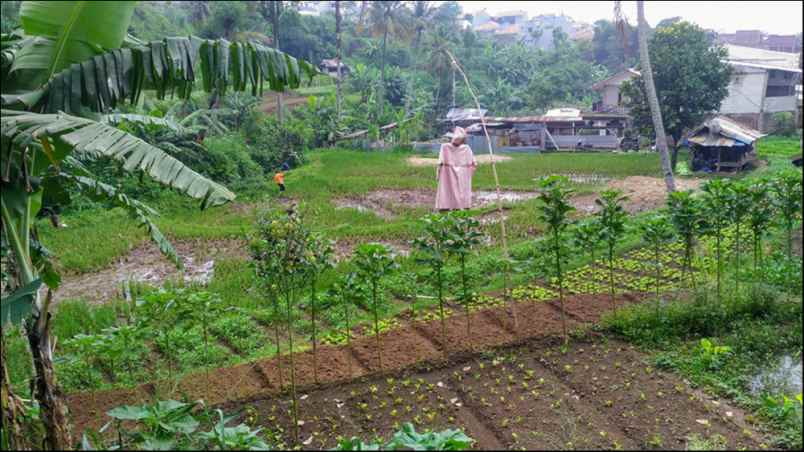 tanah kampung cibaligo rt 002