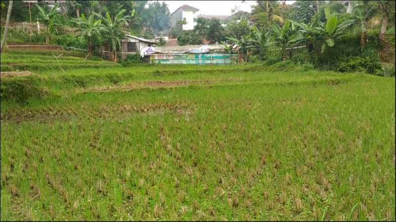 tanah kampung cibaligo rt 002