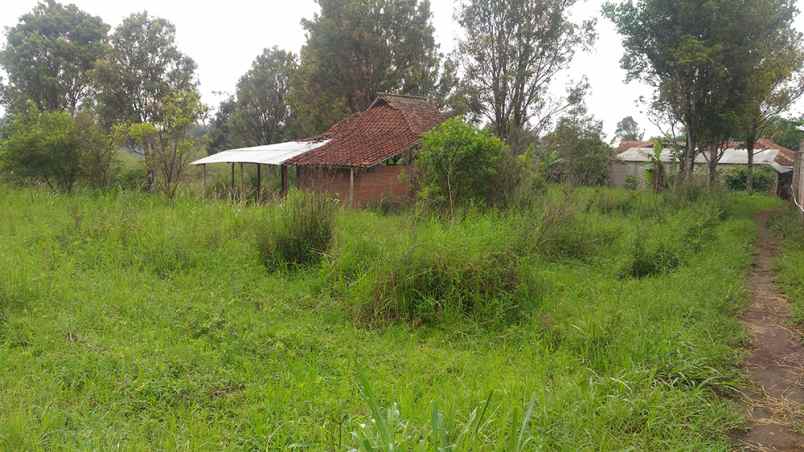 tanah kampung tugu laksana rt