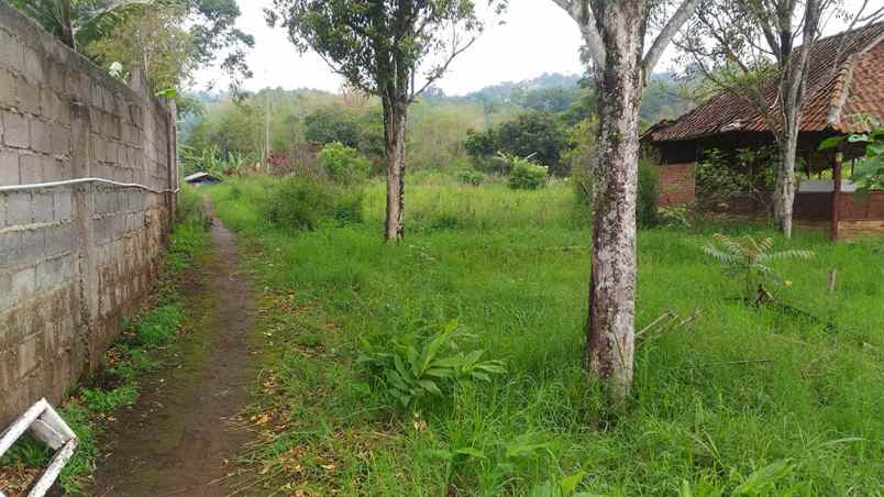 tanah kampung tugu laksana rt