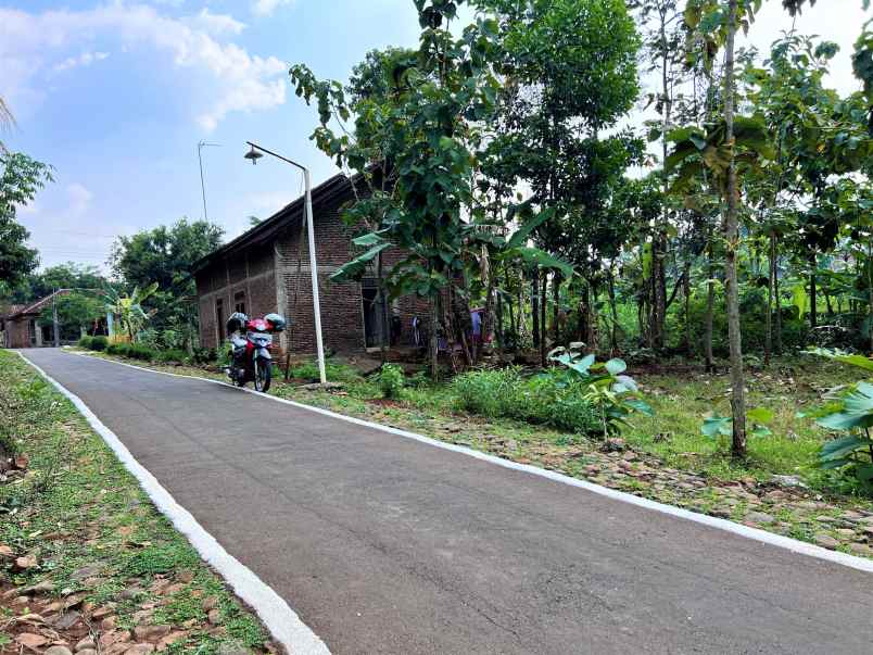 tanah karangrejo kerjo karanganyar