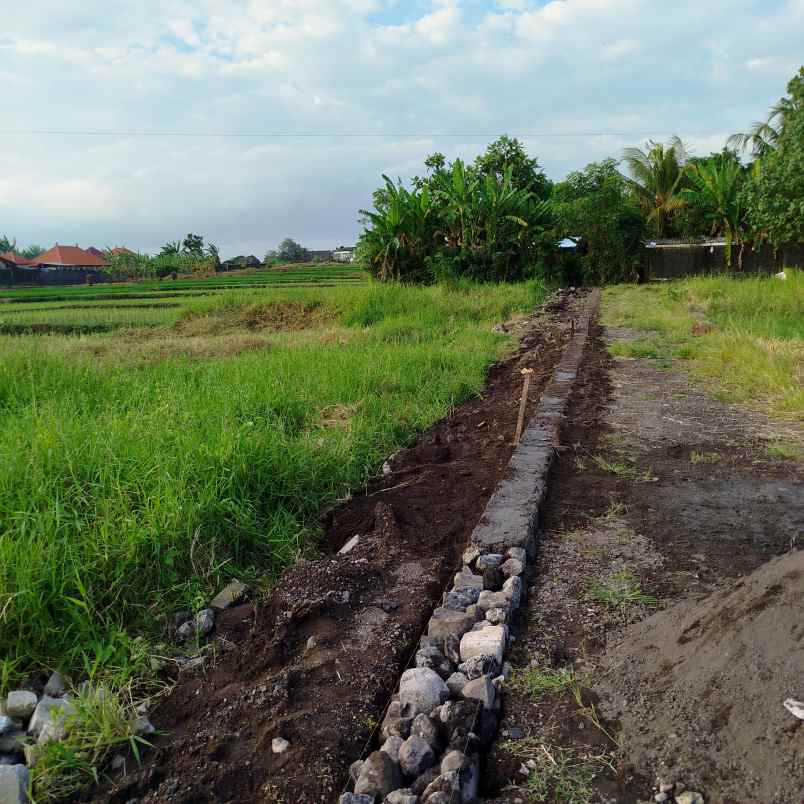 tanah kavling premium pandak braban tabanan bali