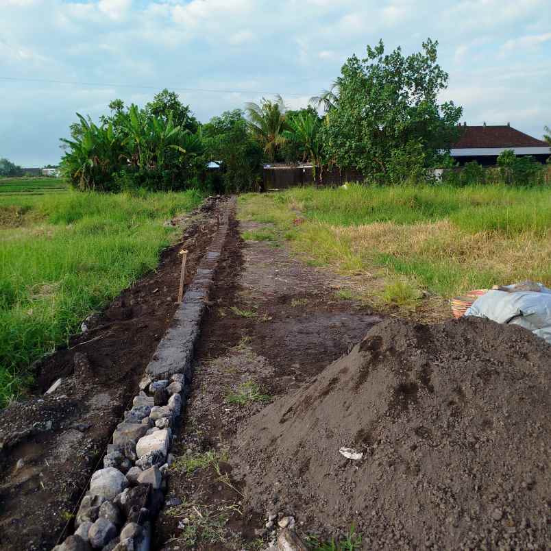 tanah kavling premium pandak braban tabanan bali