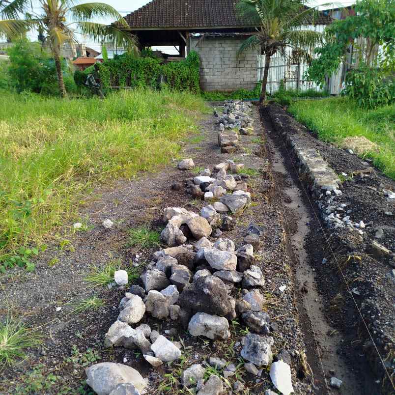tanah kavling premium pandak braban tabanan bali