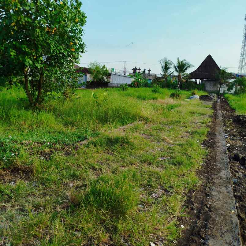 tanah kavling premium pandak braban tabanan bali