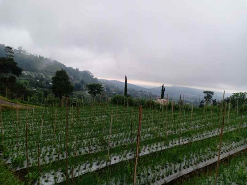 tanah kawasan vila kemuning