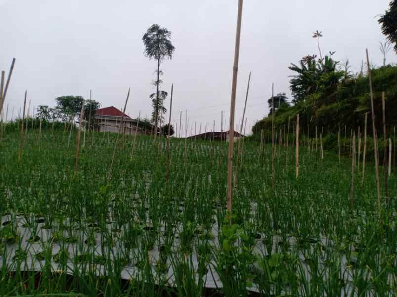 tanah kawasan vila kemuning