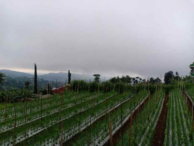 tanah kawasan vila kemuning