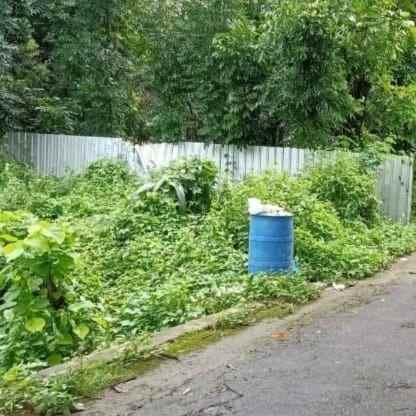 tanah kebun subur dan strategis