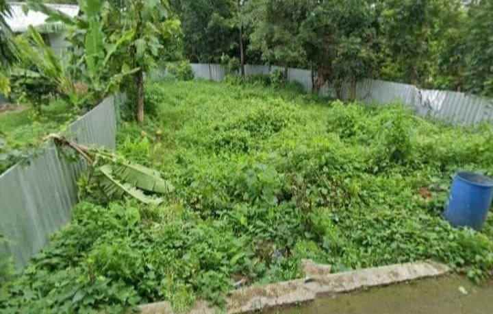 tanah kebun subur dan strategis