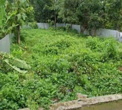 tanah kebun subur dan strategis