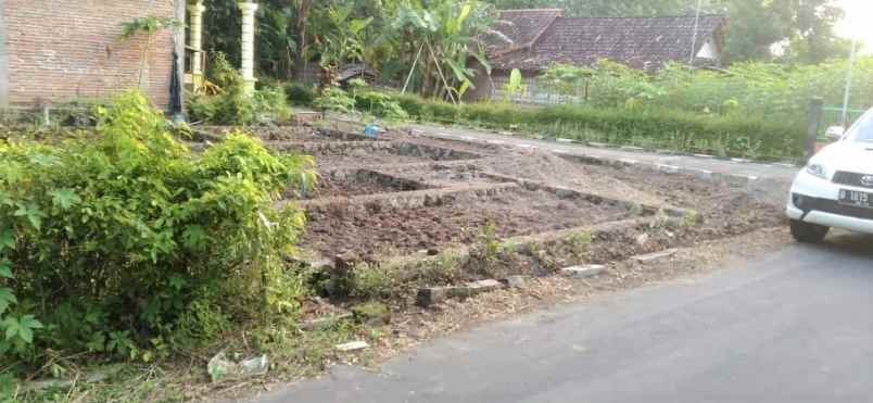 tanah kroyo karangmalang sragen