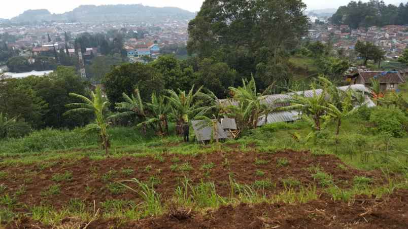 Edisi Banting Harga Tanah Matang Siap Bangun Di Lembang Bandung